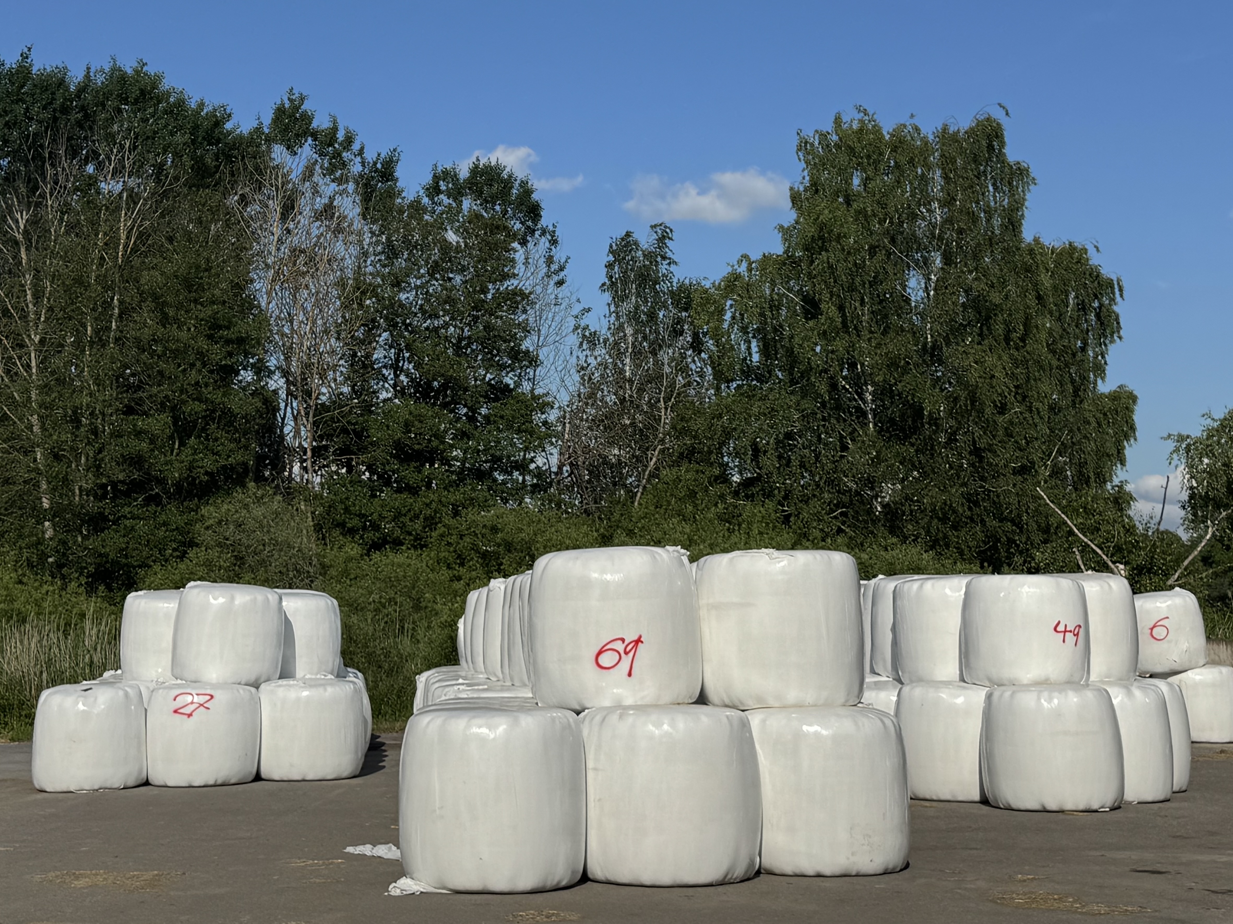 Ensilage förstaskörd 2026